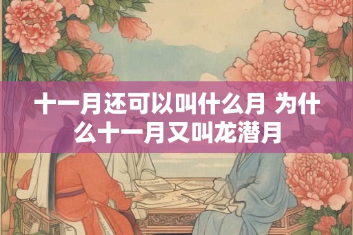十一月还可以叫什么月 为什么十一月又叫龙潜月