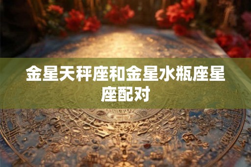 金星天秤座和金星水瓶座星座配对 金星天秤座和金星水瓶座星座配对