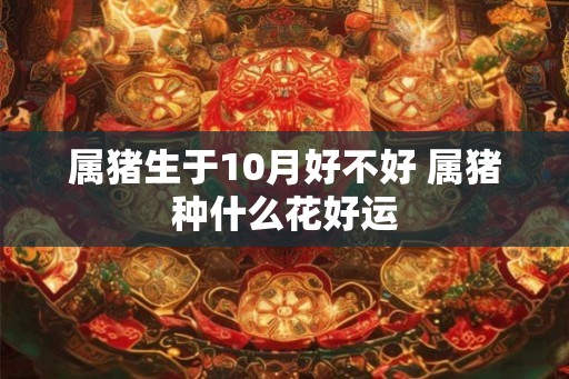 属猪生于10月好不好 属猪种什么花好运