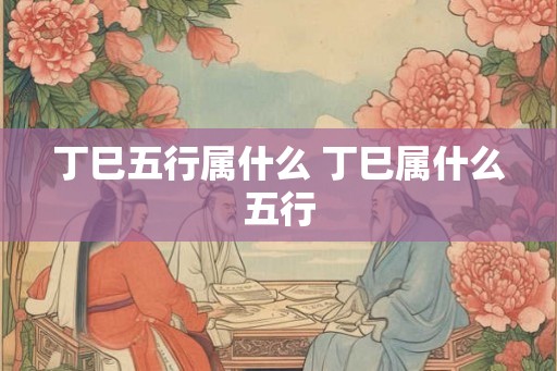 丁巳五行属什么 丁巳属什么五行 丁巳五行属什么 丁巳属什么五行