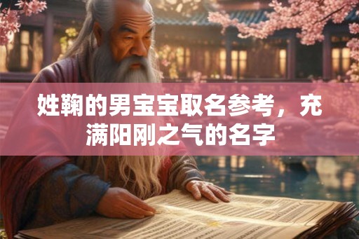 姓鞠的男宝宝取名参考，充满阳刚之气的名字