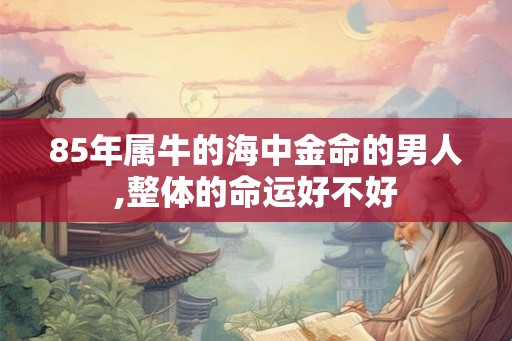 85年属牛的海中金命的男人,整体的命运好不好 85年属牛的海中金命的男人,整体的命运好不好