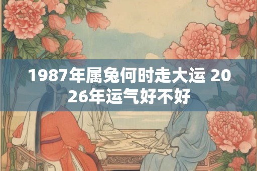 1987年属兔何时走大运 2026年运气好不好