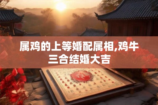 属鸡的上等婚配属相,鸡牛三合结婚大吉