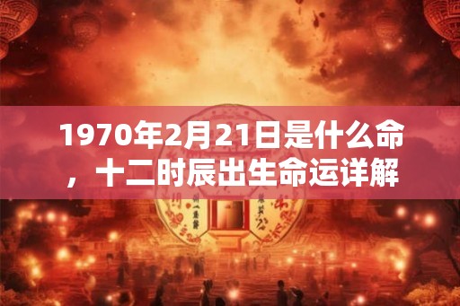 1970年2月21日是什么命，十二时辰出生命运详解