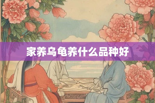 家养乌龟养什么品种好