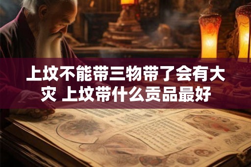 上坟不能带三物带了会有大灾 上坟带什么贡品最好