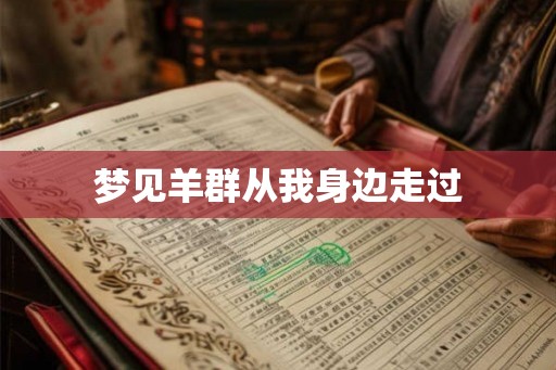 梦见羊群从我身边走过
