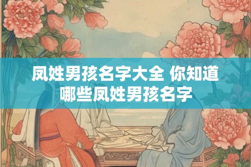 凤姓男孩名字大全 你知道哪些凤姓男孩名字