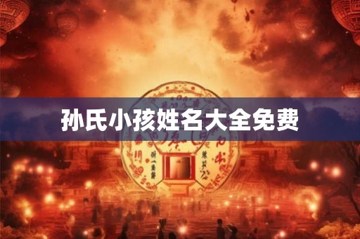 孙氏小孩姓名大全免费 孙氏小孩姓名大全免费