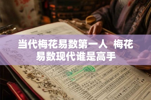 当代梅花易数第一人  梅花易数现代谁是高手