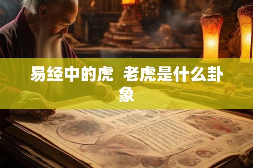 易经中的虎  老虎是什么卦象