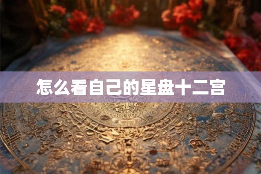 怎么看自己的星盘十二宫