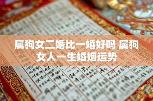 属狗女二婚比一婚好吗 属狗女人一生婚姻运势