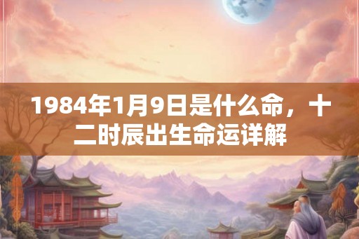 1984年1月9日是什么命，十二时辰出生命运详解