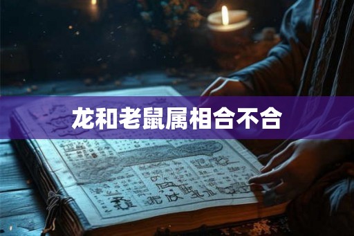 龙和老鼠属相合不合