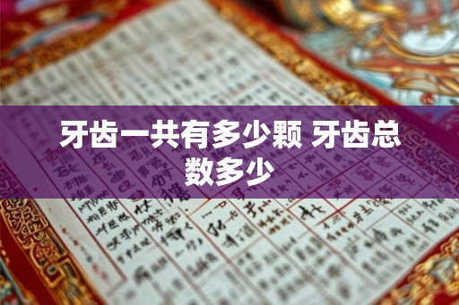 牙齿一共有多少颗 牙齿总数多少