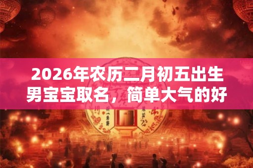 2026年农历二月初五出生男宝宝取名，简单大气的好名字