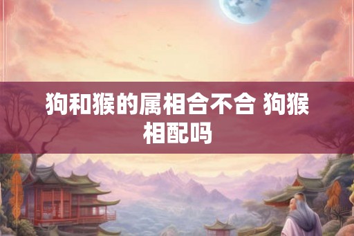 狗和猴的属相合不合 狗猴相配吗