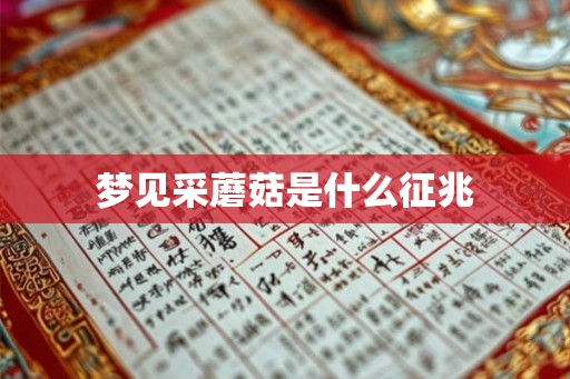 梦见采蘑菇是什么征兆