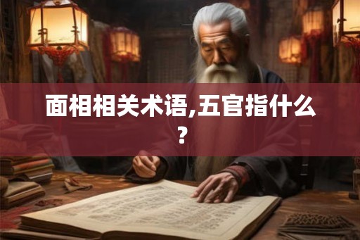 面相相关术语,五官指什么？