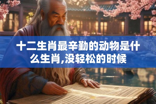 十二生肖最辛勤的动物是什么生肖,没轻松的时候