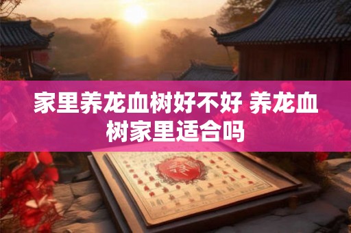 家里养龙血树好不好 养龙血树家里适合吗