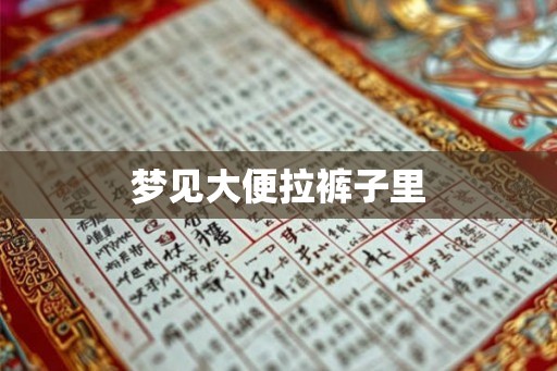 梦见大便拉裤子里