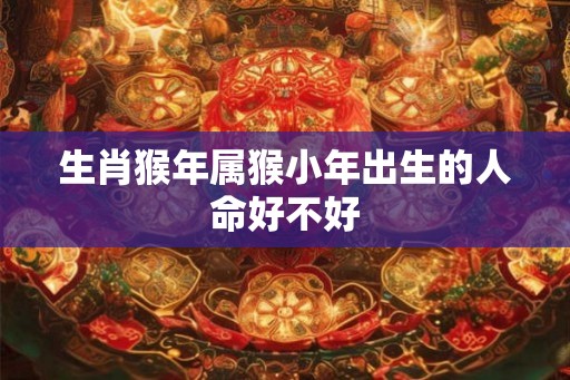 生肖猴年属猴小年出生的人命好不好
