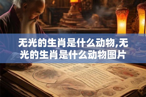 无光的生肖是什么动物,无光的生肖是什么动物图片