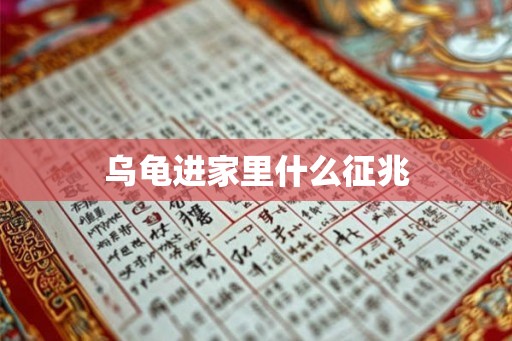 乌龟进家里什么征兆