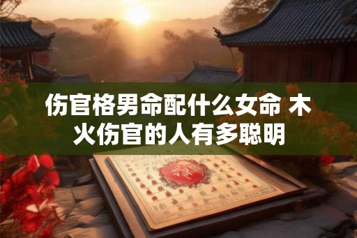 伤官格男命配什么女命 木火伤官的人有多聪明