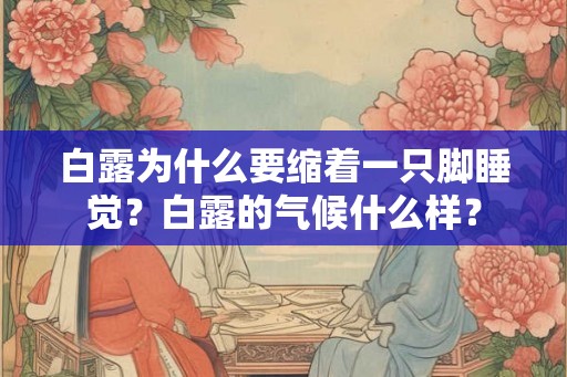 白露为什么要缩着一只脚睡觉？白露的气候什么样？