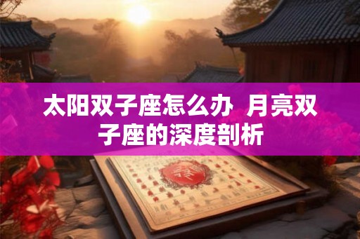 太阳双子座怎么办  月亮双子座的深度剖析