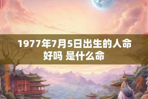 1977年7月5日出生的人命好吗 是什么命
