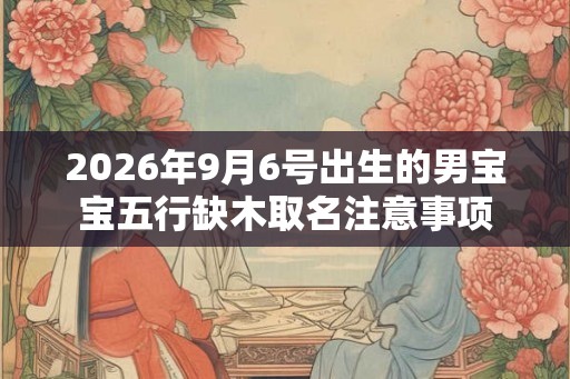 2026年9月6号出生的男宝宝五行缺木取名注意事项