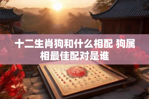 十二生肖狗和什么相配 狗属相最佳配对是谁