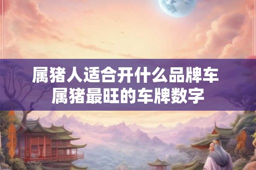 属猪人适合开什么品牌车 属猪最旺的车牌数字