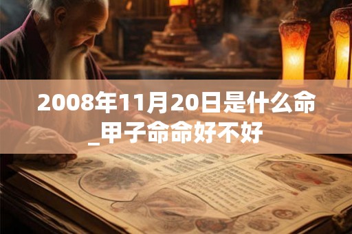 2008年11月20日是什么命_甲子命命好不好