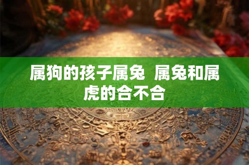 属狗的孩子属兔  属兔和属虎的合不合