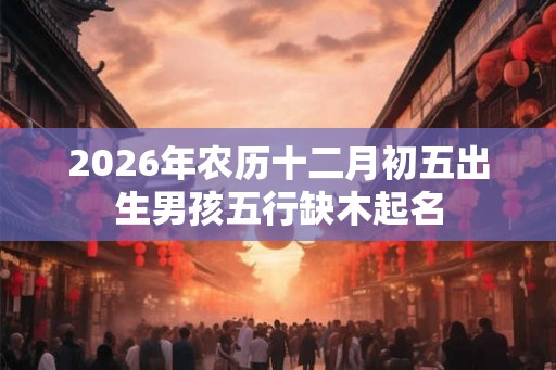 2026年农历十二月初五出生男孩五行缺木起名