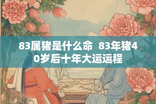 83属猪是什么命  83年猪40岁后十年大运运程