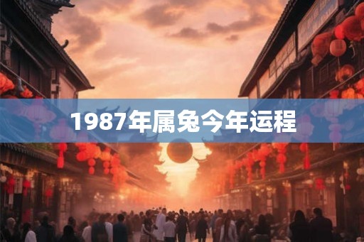 1987年属兔今年运程