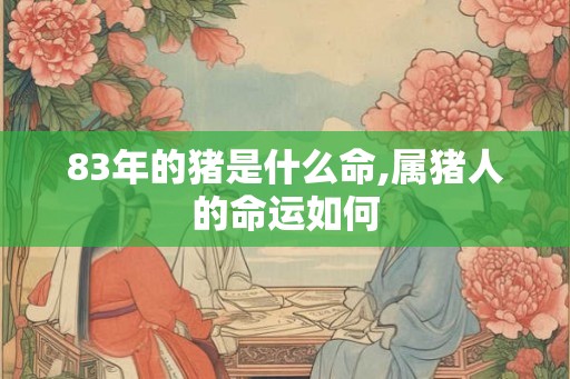 83年的猪是什么命,属猪人的命运如何