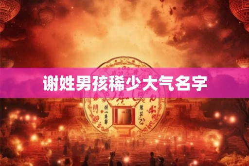 谢姓男孩稀少大气名字