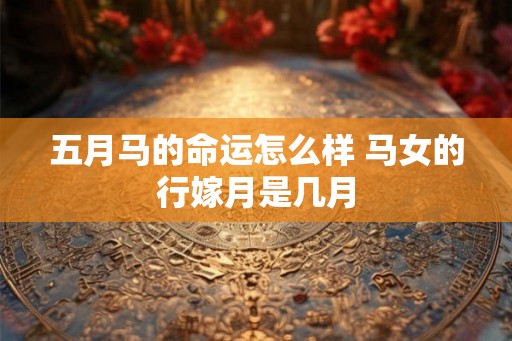 五月马的命运怎么样 马女的行嫁月是几月 五月马的命运怎么样 马女的行嫁月是几月