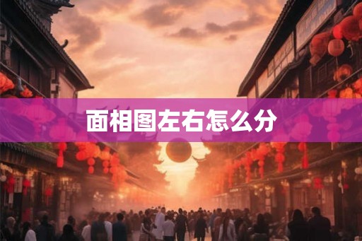 面相图左右怎么分