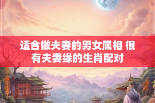 适合做夫妻的男女属相 很有夫妻缘的生肖配对