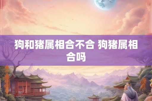 狗和猪属相合不合 狗猪属相合吗 狗和猪属相合不合 狗猪属相合吗