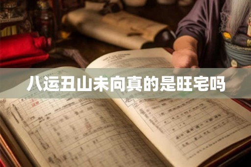 八运丑山未向真的是旺宅吗